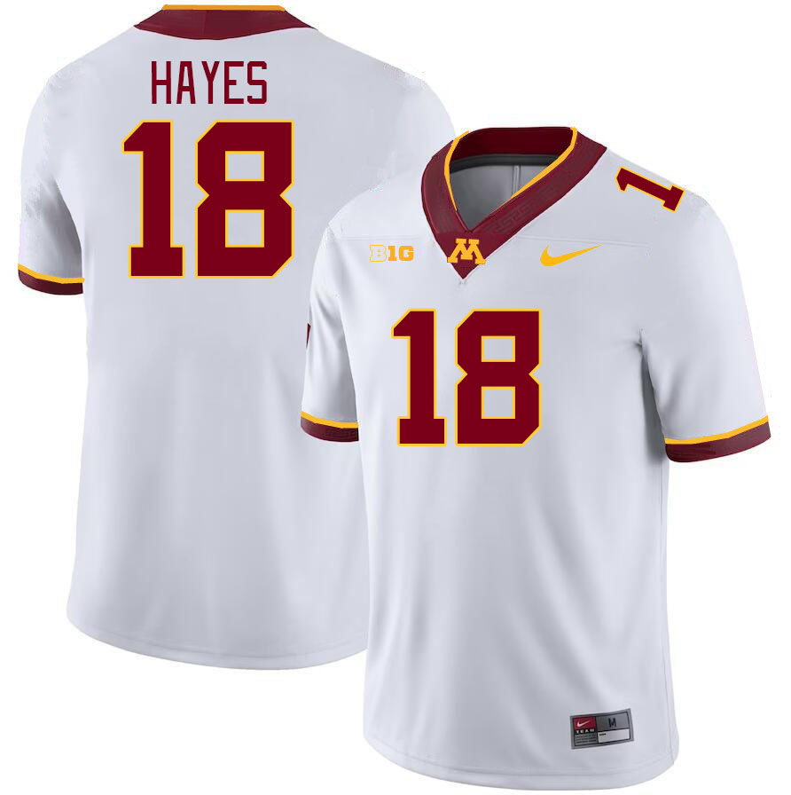 Men #18 Donielle Hayes Minnesota Golden Gophers College Football Jerseys Stitched-White